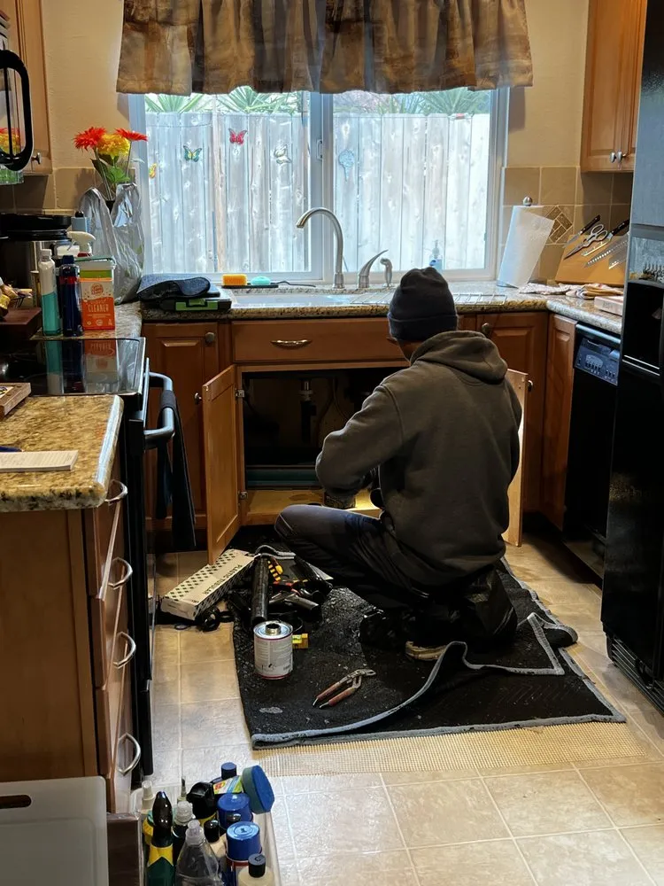 Slide of Plumbing Tree