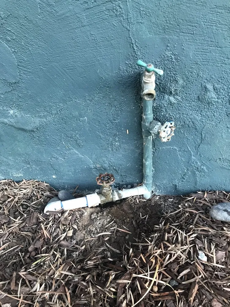 Slide of Plumbing Tree