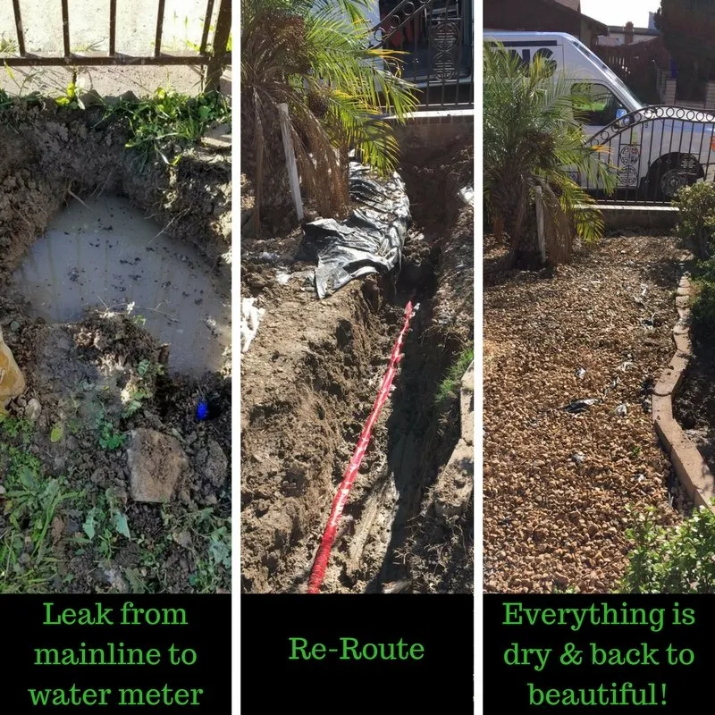 Slide of Plumbing Tree