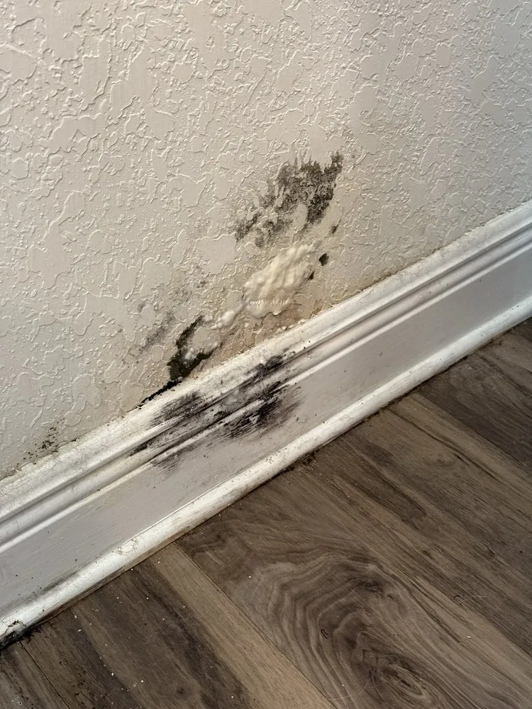 Slide of Plumbline Plumbing and Gas