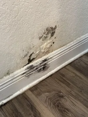 Plumbline Plumbing and Gas