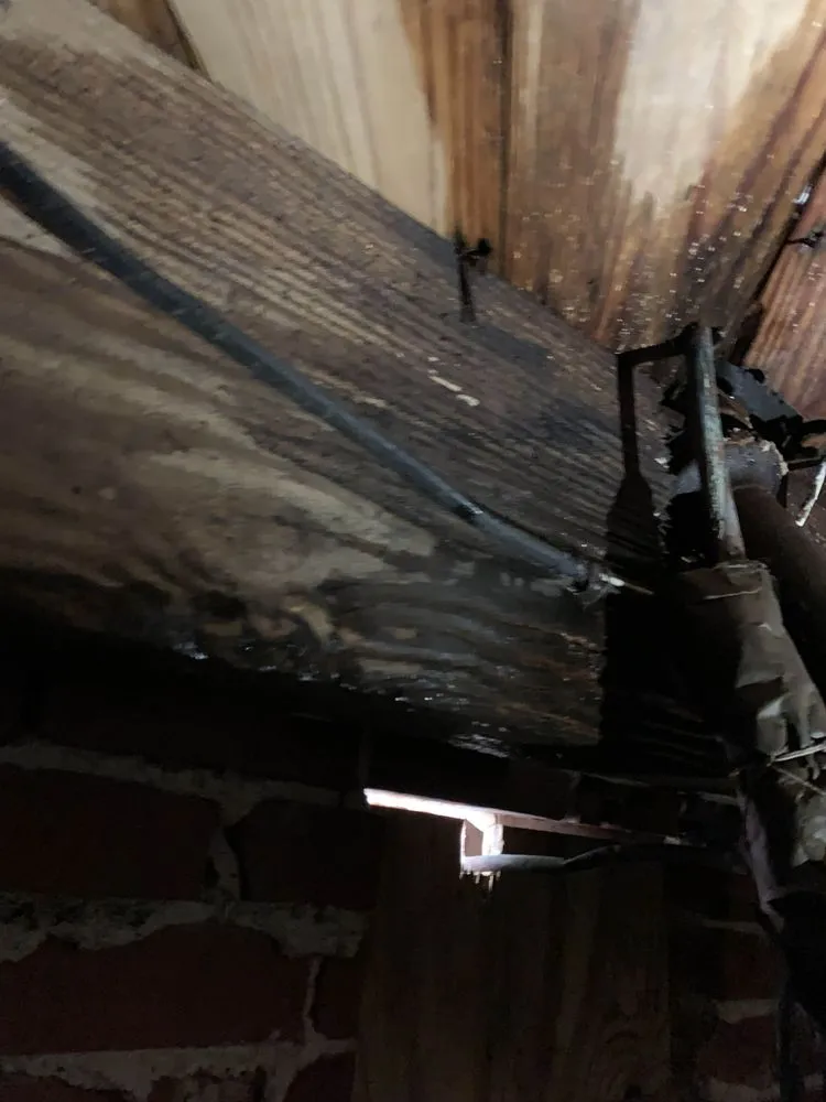 Trusted plumbing repair in Greenville, NC by Plumbs Up Plumbing