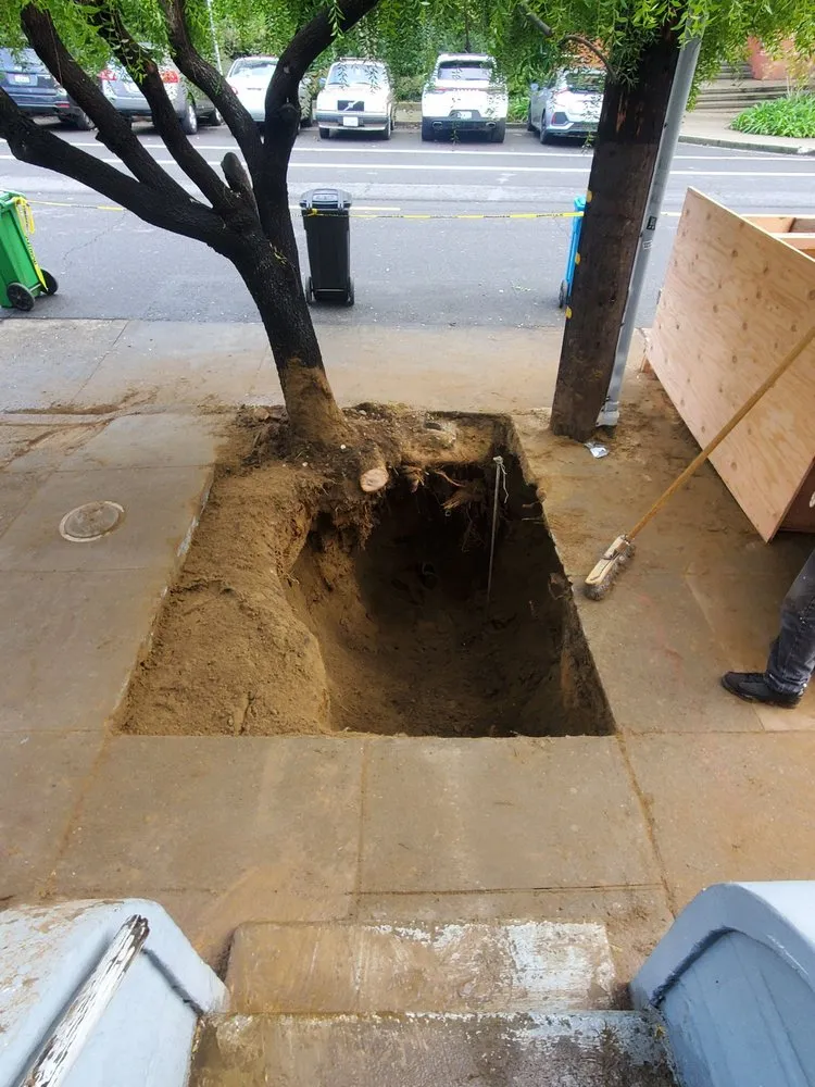 Affordable water heater service in San Francisco, CA by Plumbtec Systems