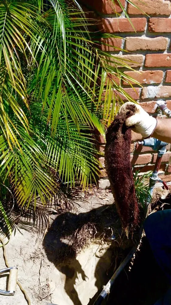 Slide of PlumbWise Plumbing and Rooter