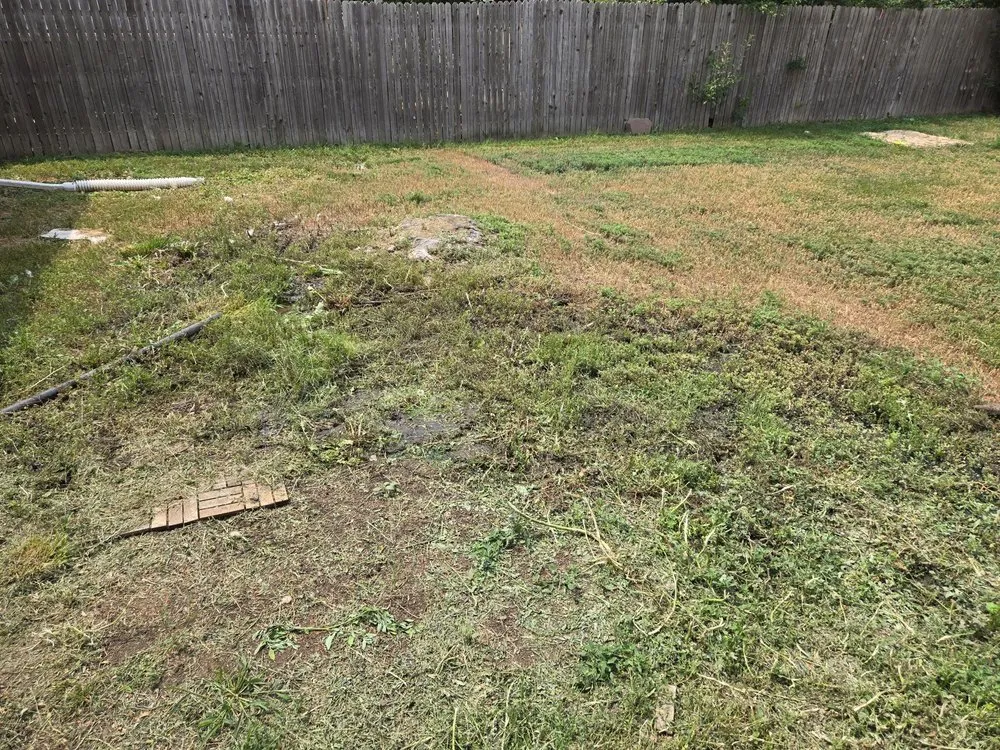 Slide of Plunge Plus Plumbing