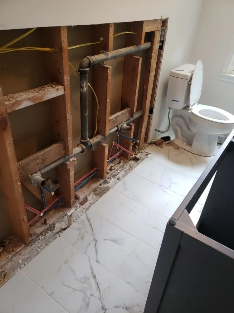 Slide of Plunger of Thrones Plumbing