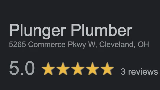 Slide of Plunger Plumber