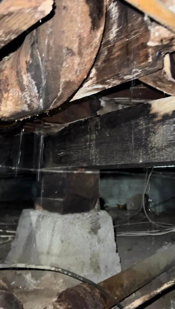 Slide of Plunger Pro