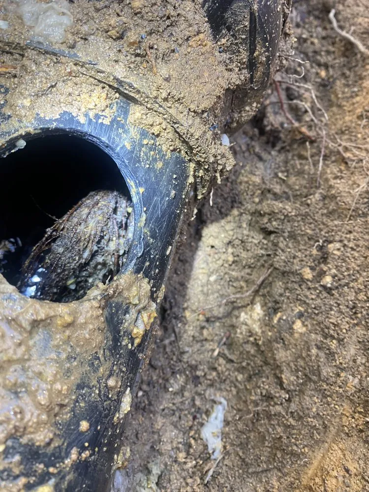 Slide of Plunger Pro