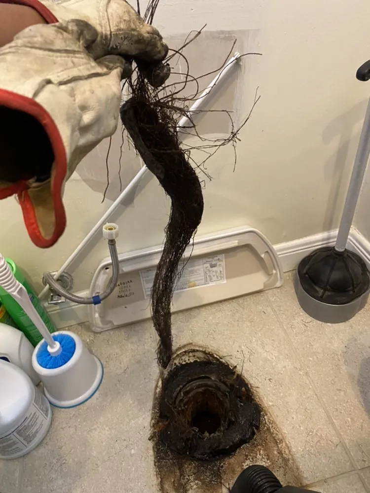 Slide of Plush Plumbing