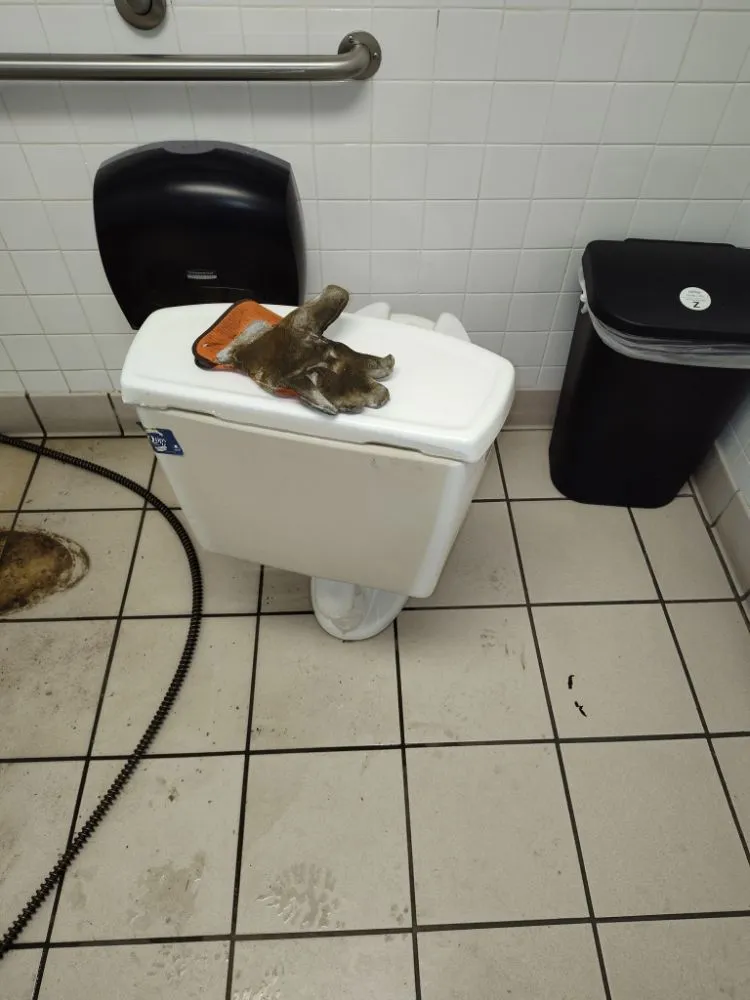 Slide of Pm drain cleaning