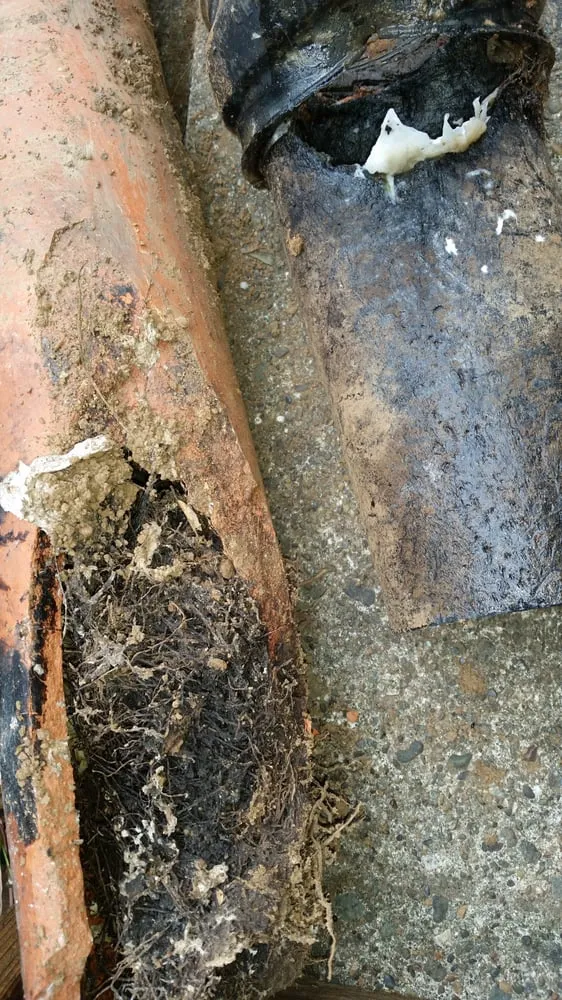 Slide of PME Drains & Plumbing