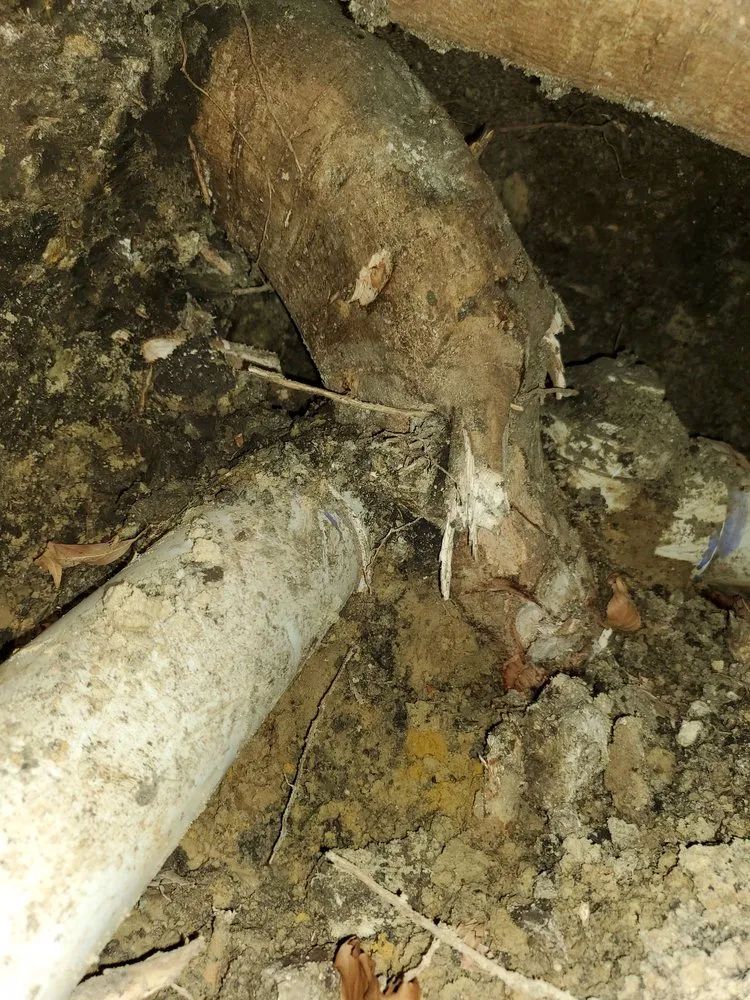 Slide of PMP Plumbing