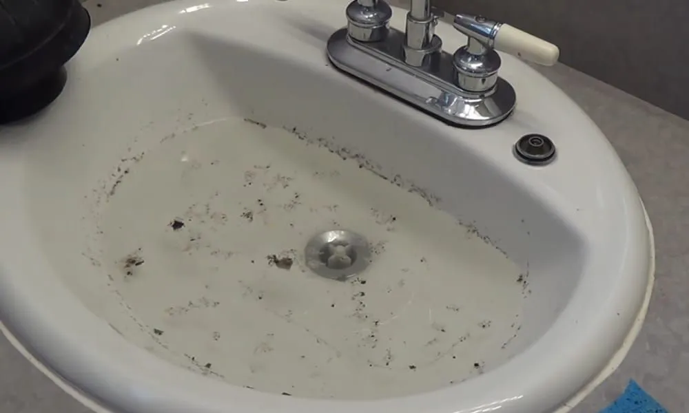 Expert emergency plumbing experts serving Los Alamitos, CA - Pointer Plumbing Star