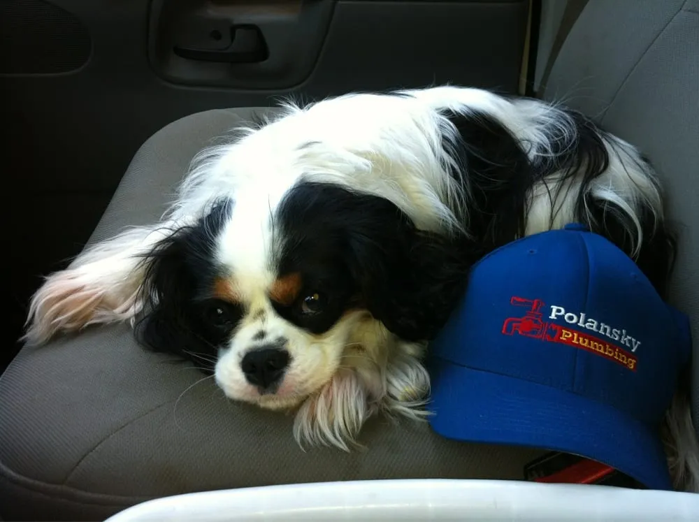 Slide of Polansky Plumbing