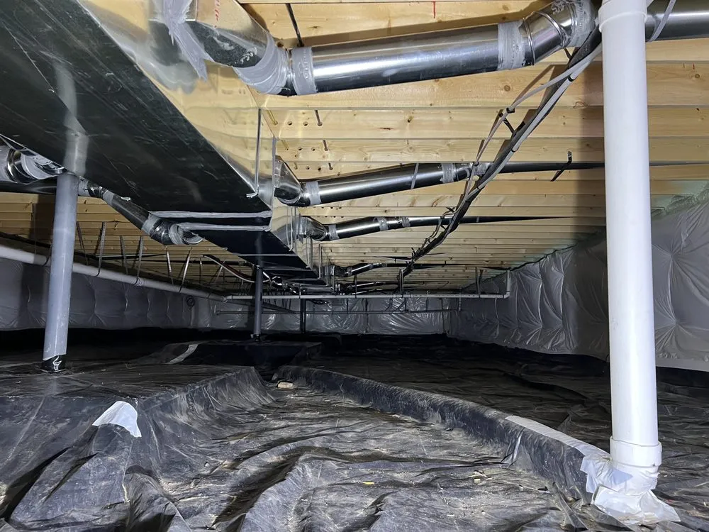 Expert emergency plumbing experts serving Timnath, CO - Polar Bear Plumbing Heating & Air
