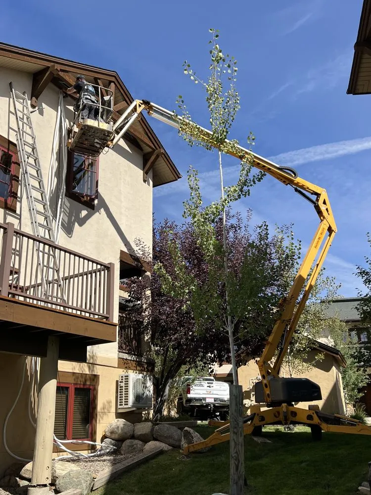 Slide of Polar Bear Plumbing Heating & Air