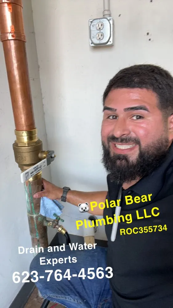 Slide of Polar Bear Plumbing