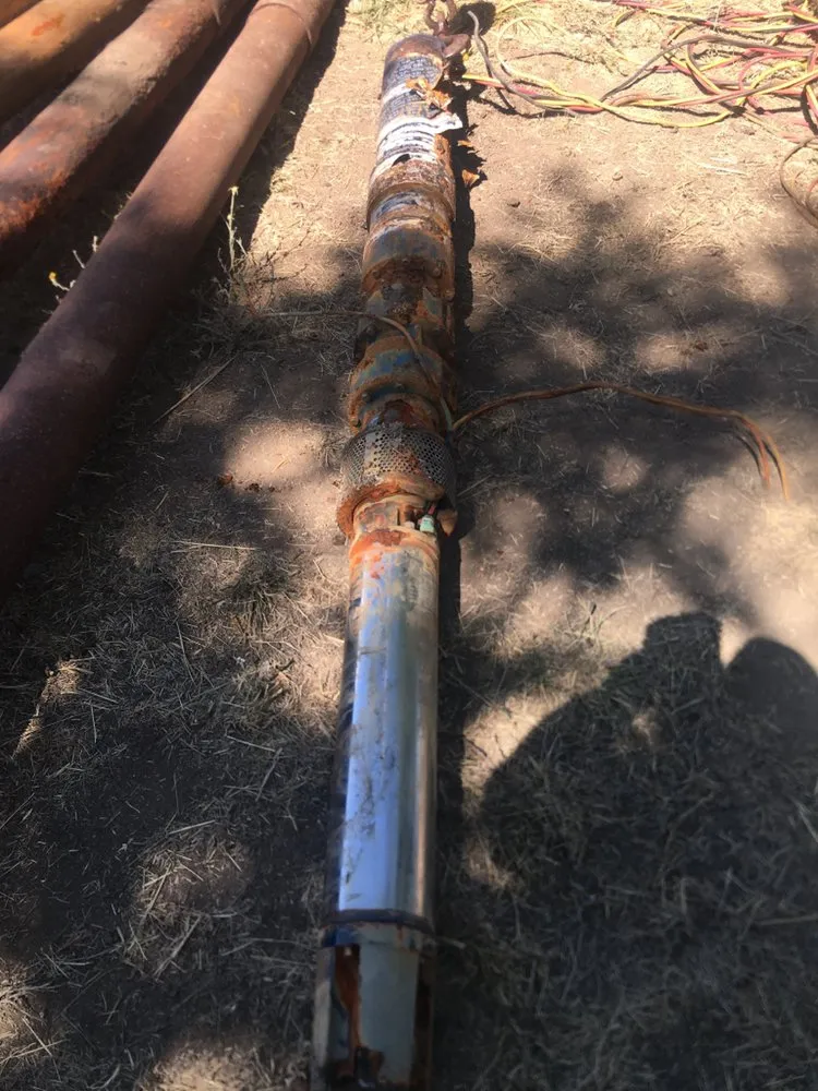 Slide of Pollack and Sons Pump