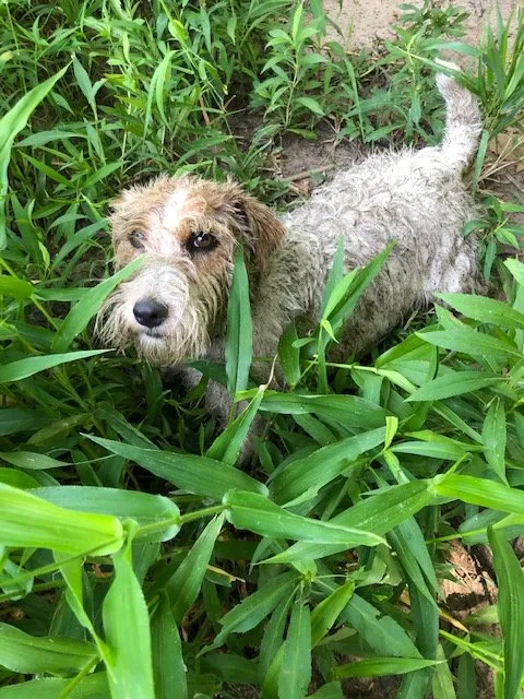 Slide of Pompeii's Plumbing, Sewer & Drain