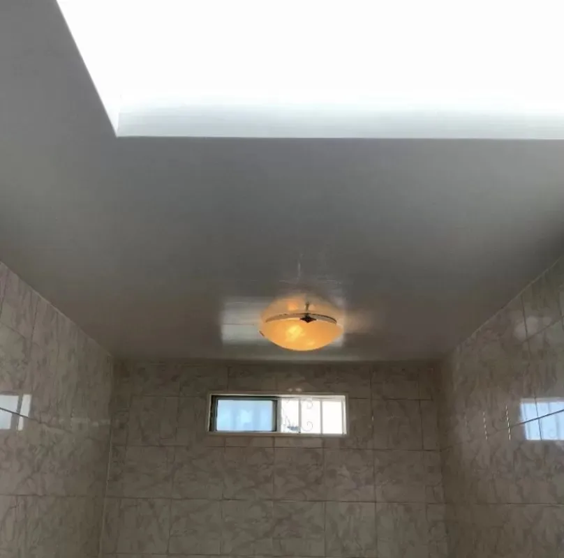 Slide of Ponce Paint