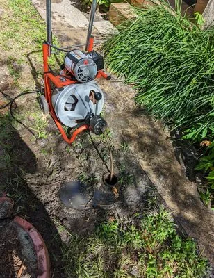 Poo Bear Plumbing Logo