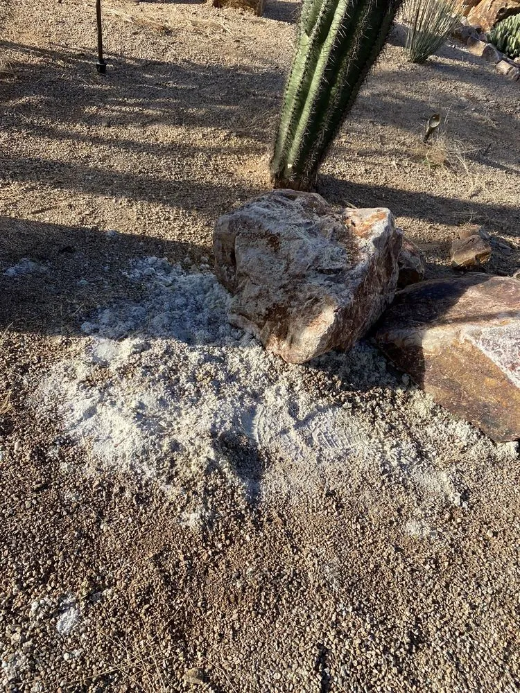 Slide of Pool Hawk Pool Repair & Service