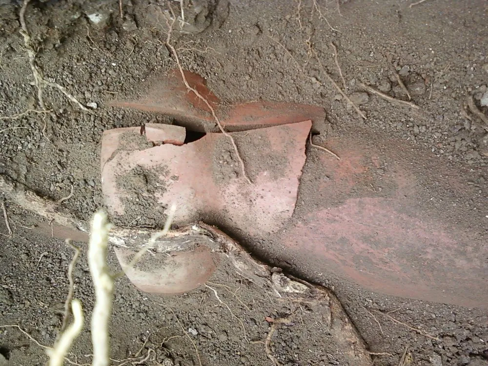 Trusted water heater service for homes in Union City, CA by Pop N Go Plumbing and Drains