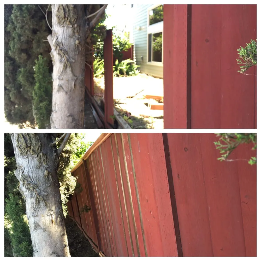 Slide of Popeyes Handyman Service