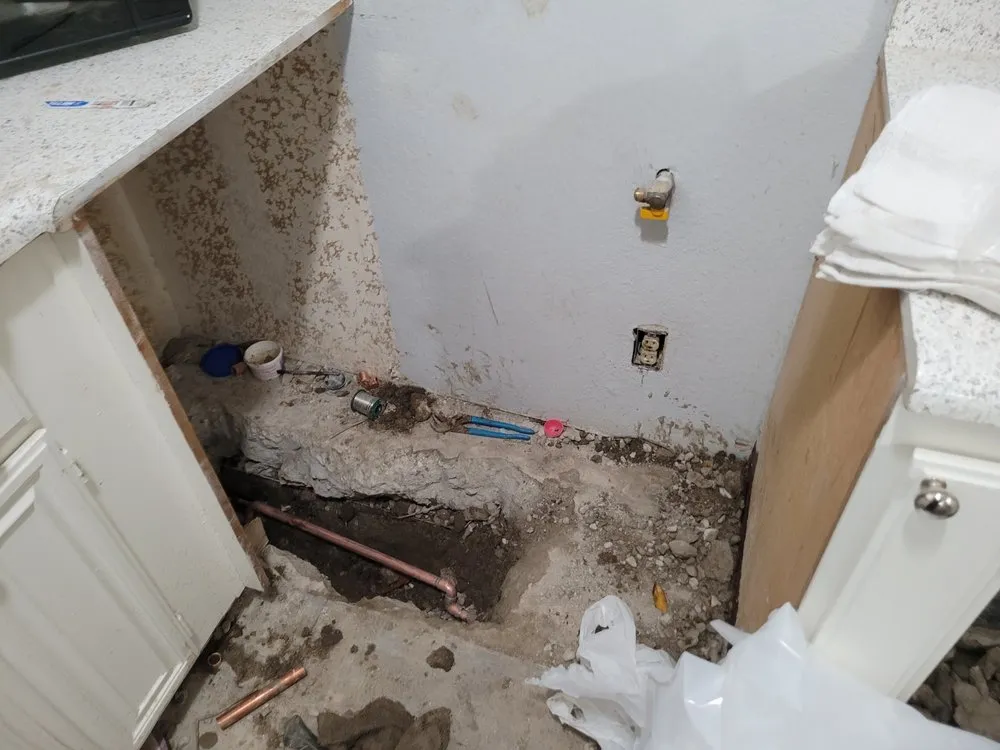 Slide of Popeye's Platinum Plumbing