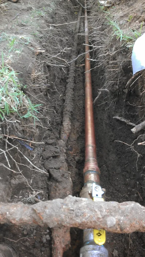 Slide of Popeye's Platinum Plumbing