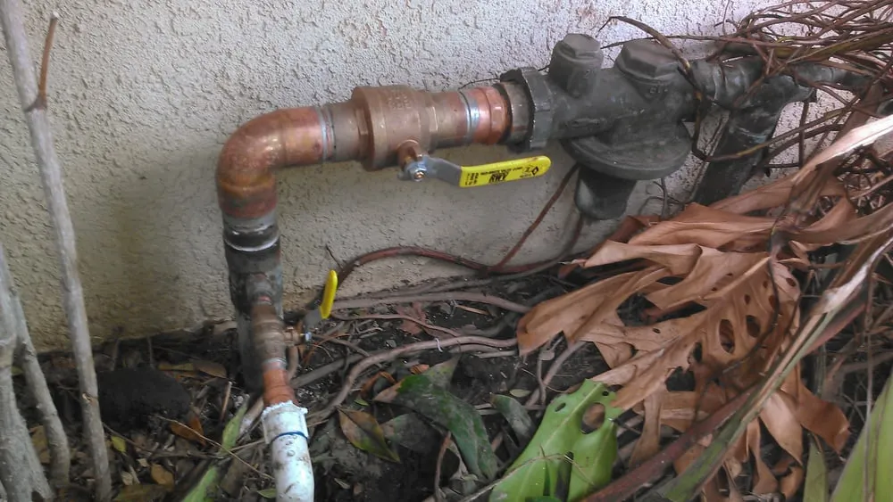 Slide of Popeye's Platinum Plumbing