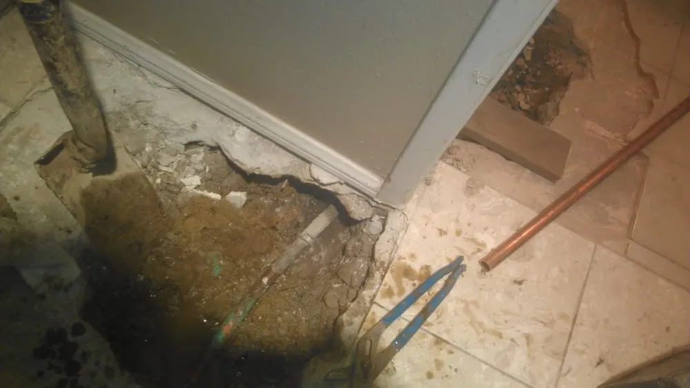 Slide of Popeye's Platinum Plumbing