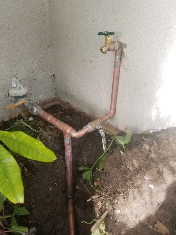 Slide of Popeye's Platinum Plumbing