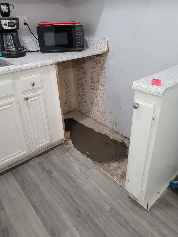 Slide of Popeye's Platinum Plumbing