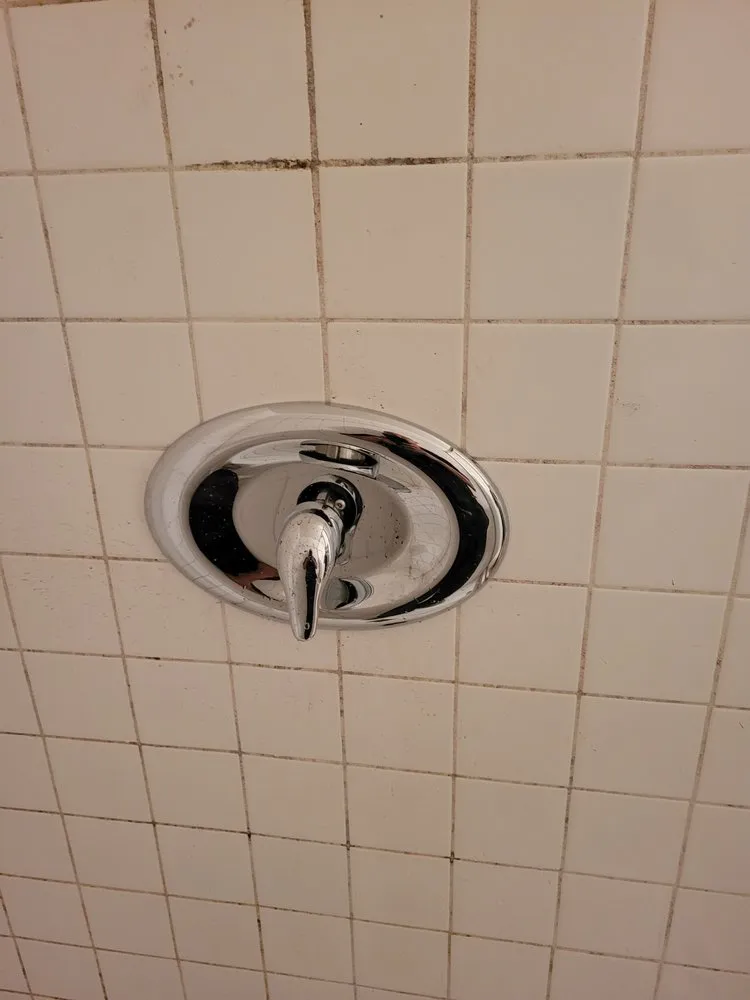 Slide of Popeye's Platinum Plumbing