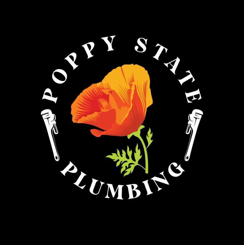 Reliable drain cleaning service in Cloverdale, CA - Poppy State Plumbing
