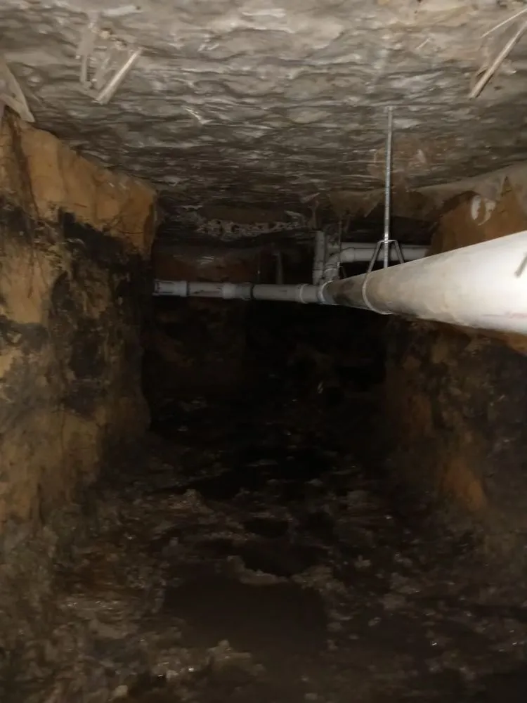 Slide of Popular Plumbing