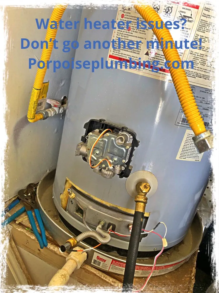 Slide of Porpoise Plumbing