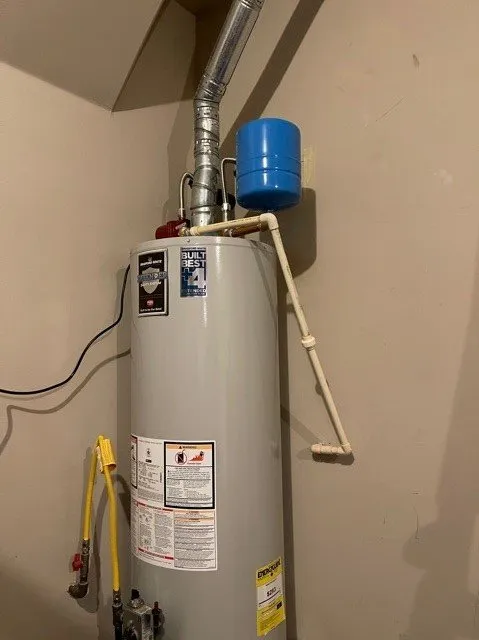 Slide of Porpoise Plumbing