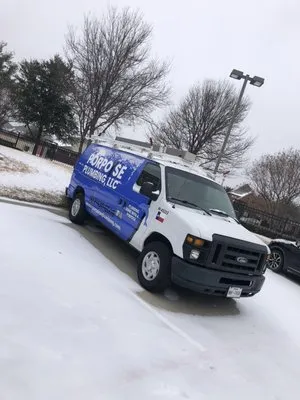 Porpoise Plumbing Logo