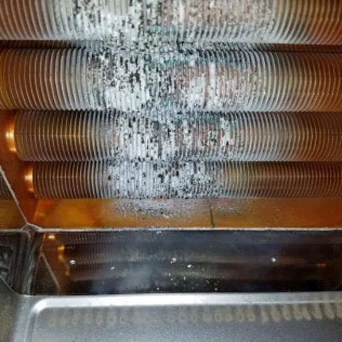 Slide of Poseidon's Plumbing