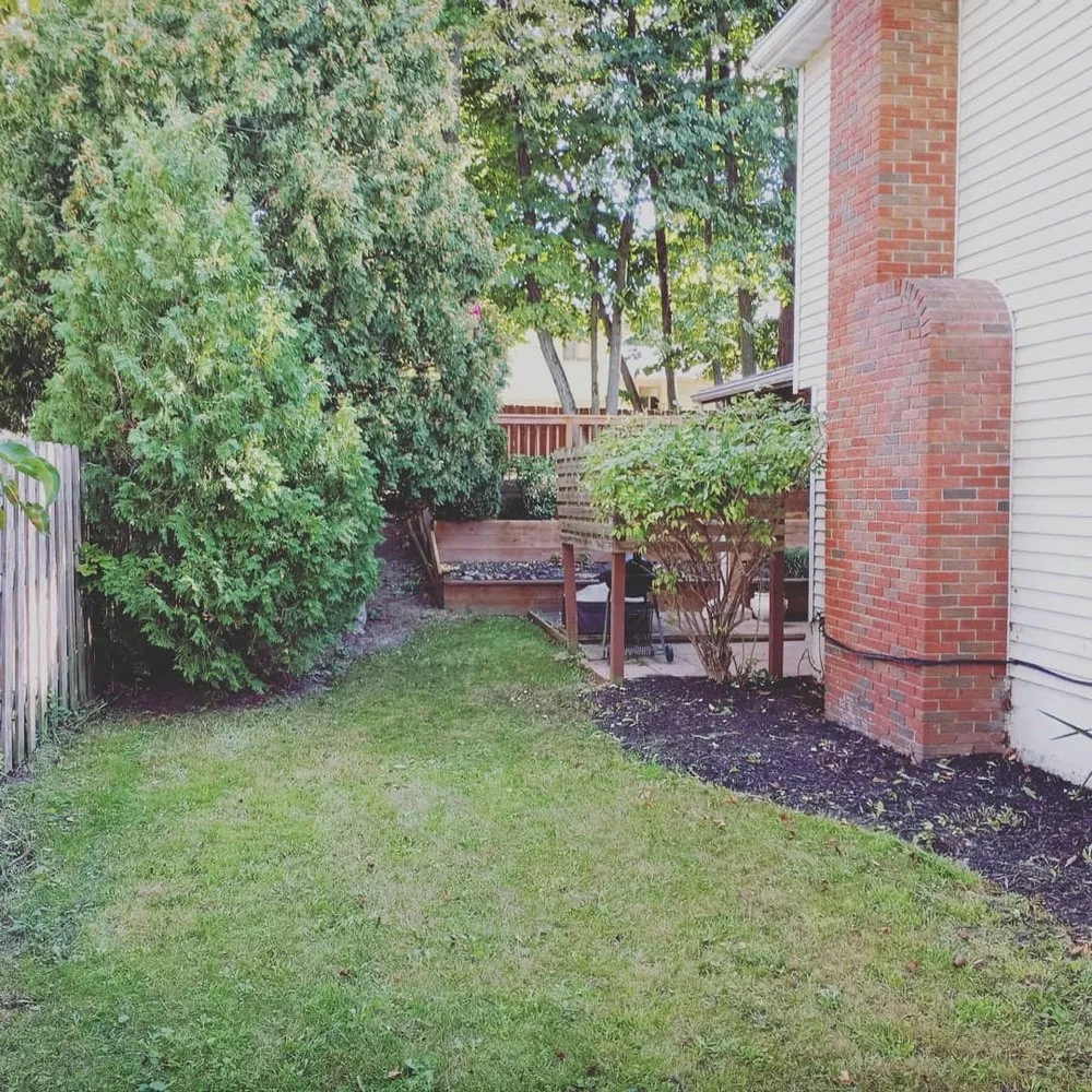 Slide of Positive Imagery