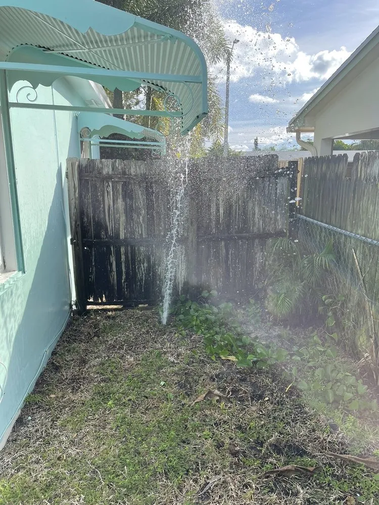 Slide of Potty Doctor