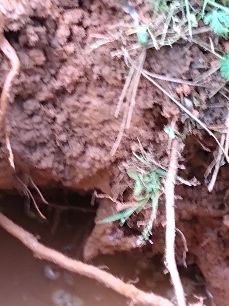 Emergency pipe repair in Powder Springs, GA by Powder Springs Plumbing and Septic Solutions