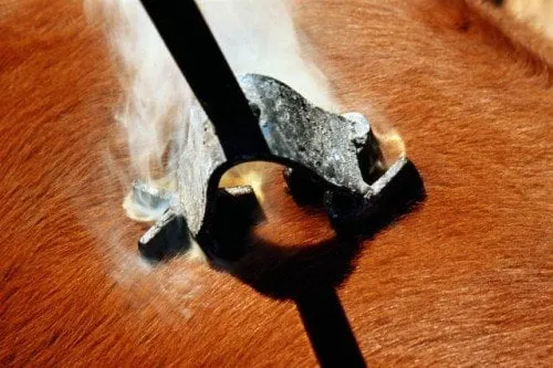 Slide of Power Plumbing