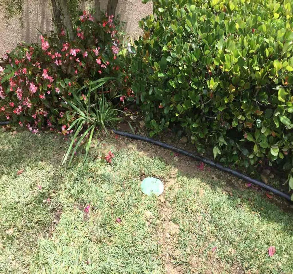 Slide of Power Rooter & Plumbing