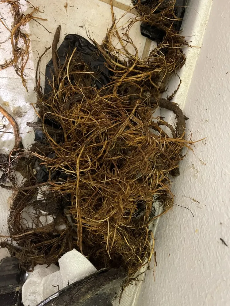 Slide of Power Rooter Drain Specialists