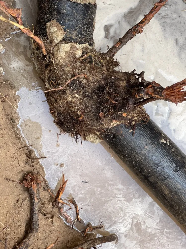 Slide of Power Rooter Drain Specialists