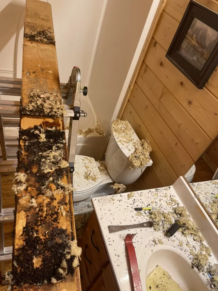 Slide of PPM General Services